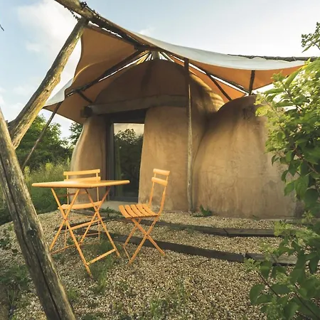 Terragora - Atypique