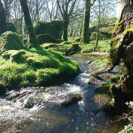 Lodge Terragora - Atypique