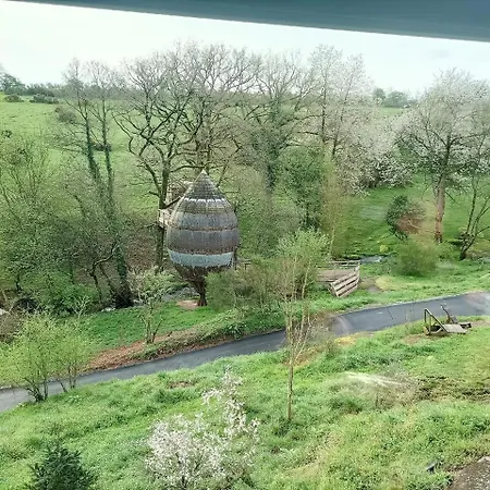 Terragora - Atypique