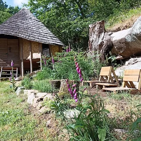 Terragora - Atypique