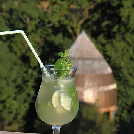 Terragora - Atypique