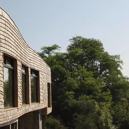 Terragora - Atypique