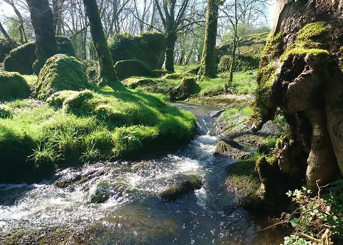 Lodge Terragora Lodges - Hebergement Atypique