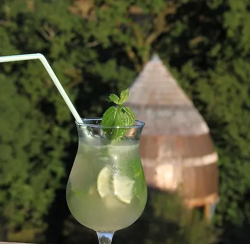 Terragora - Atypique