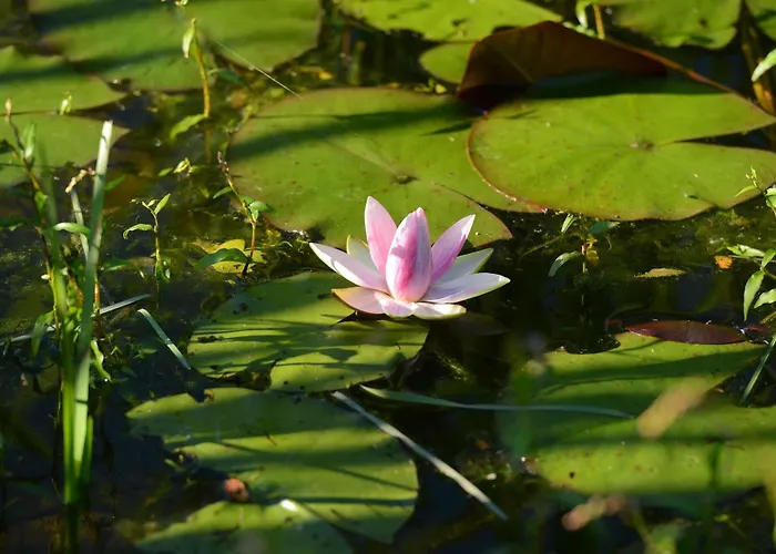 Lodge Terragora Lodges - Hebergement Atypique